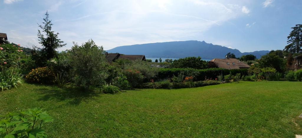 une cour avec une pelouse verdoyante et une montagne en arrière-plan dans l'établissement Le Lac, à Tresserves