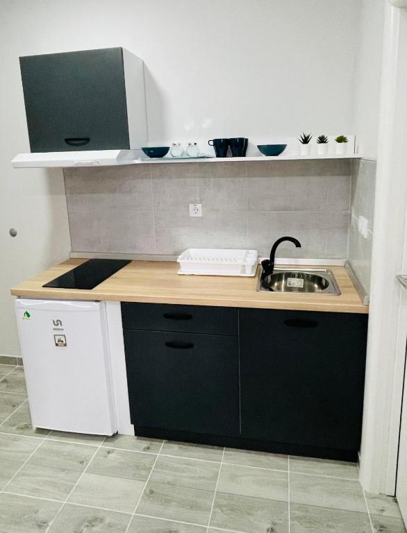 Kuchyň nebo kuchyňský kout v ubytování Apartmani borova 2