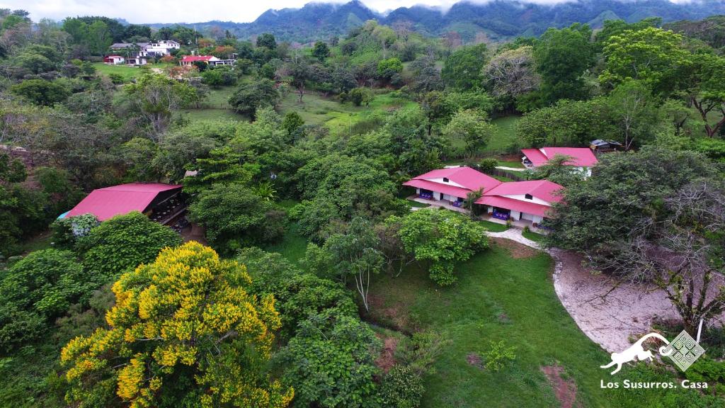 uma vista aérea de uma casa numa floresta em Los Susurros. Casa em Palenque