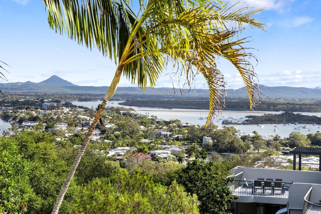 a palm tree and a view of a city at 5 76 Upper Hastings Street in Noosa Heads
