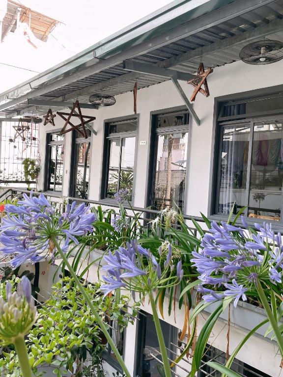 Zahrada ubytování Da Lat Lemongrass - Đà Lạt Sả