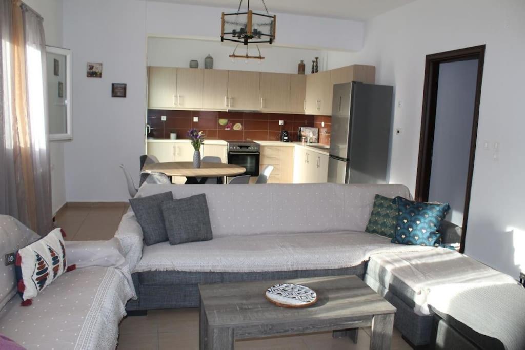スコペロスにあるSkopelos dream houseのリビングルーム(ソファ付)、キッチン