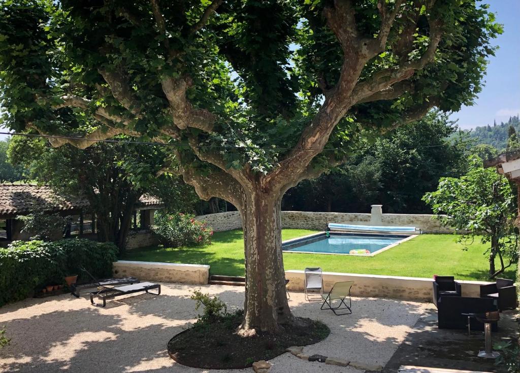 un árbol en un patio con piscina en L’atelier, en Grane