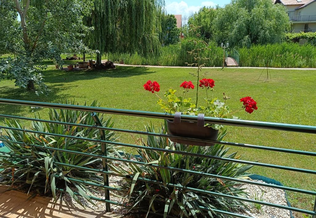 Zahrada ubytování Csiribá Apartman