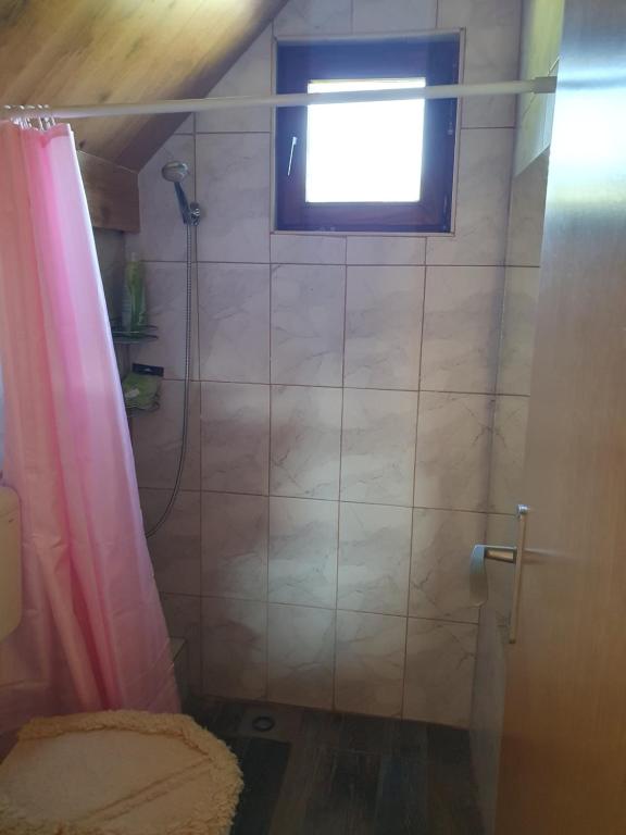 ein Bad mit einer Dusche und einem Fenster in der Unterkunft Planinska koliba Ajdanovici Jelovac Nisicka visoravan in Olovo