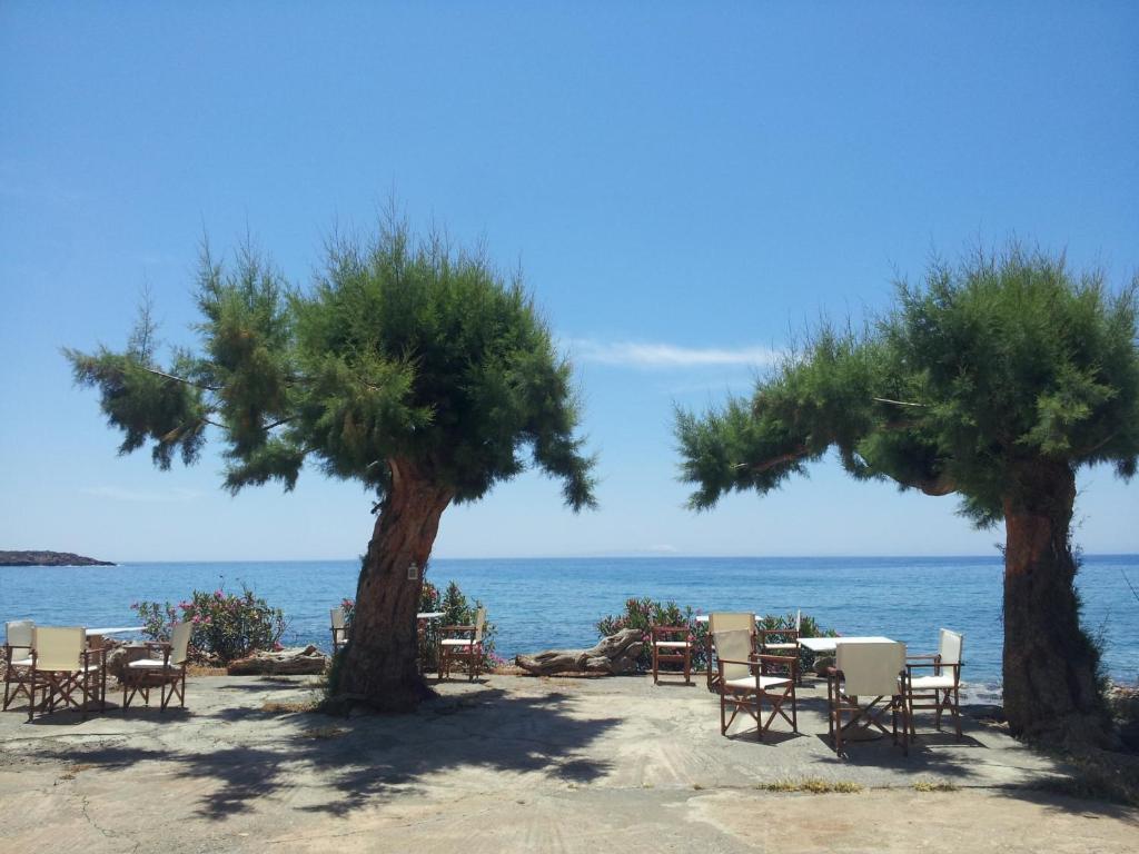 two trees and chairs on a beach with the ocean at Georgoshouse Lykos beach Sfakia in Livanianá