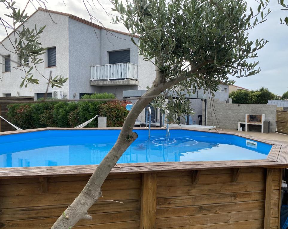een boom die uit een zwembad groeit bij Villa avec piscine privée 10mn de la mer 4couchages in Saint-Laurent-de-la-Salanque
