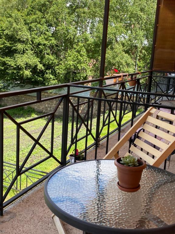 Balkón nebo terasa v ubytování Hotel Elegant