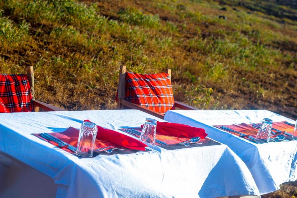 Příroda nedaleko luxury tent