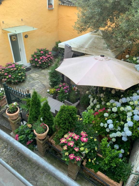 einen Garten mit Blumen und einem Sonnenschirm vor einem Haus in der Unterkunft Ferienhaus, Rustico Auf Burg in Locarno