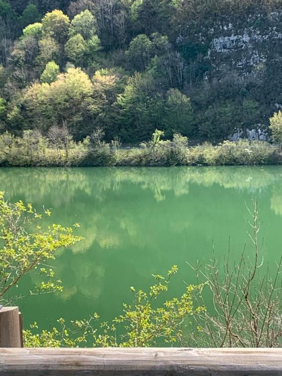 a view of a lake with trees in the background at Studio B hyper centre in Lons-le-Saunier