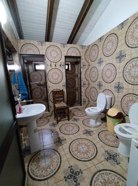Fotografie z fotogalerie ubytování Vila Maria Săsciori Sebeş v destinaci Săsciori