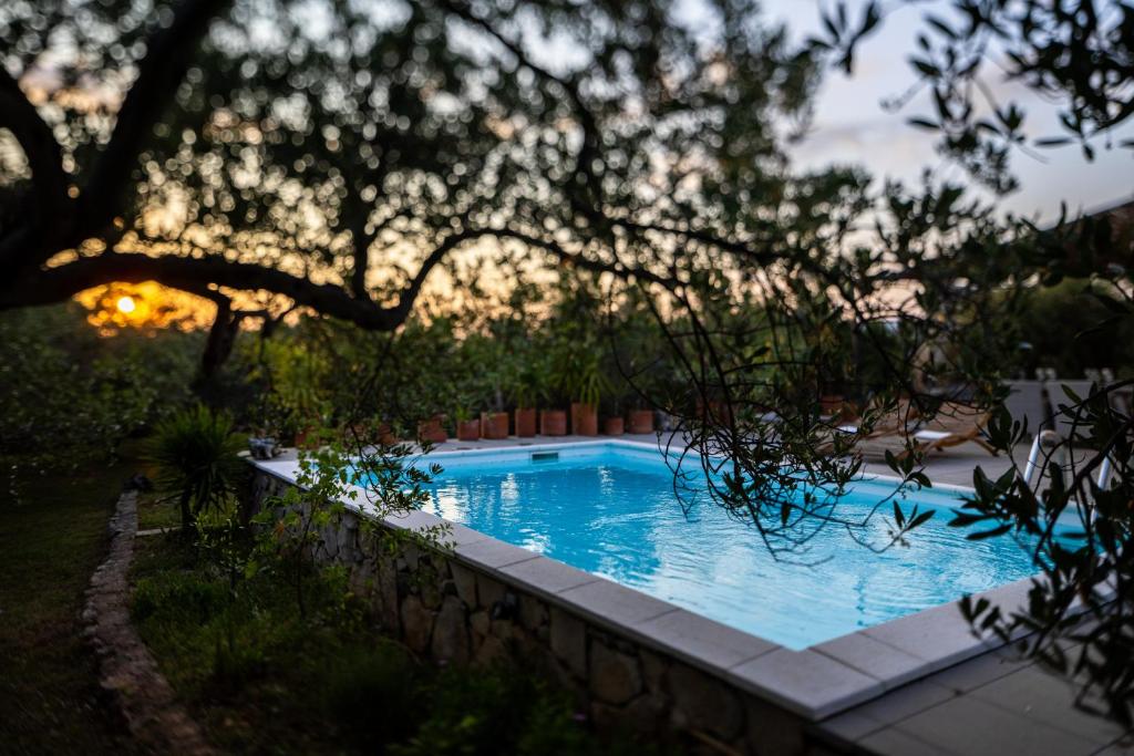 Bazén v ubytování Mai's Villa nebo v jeho okolí