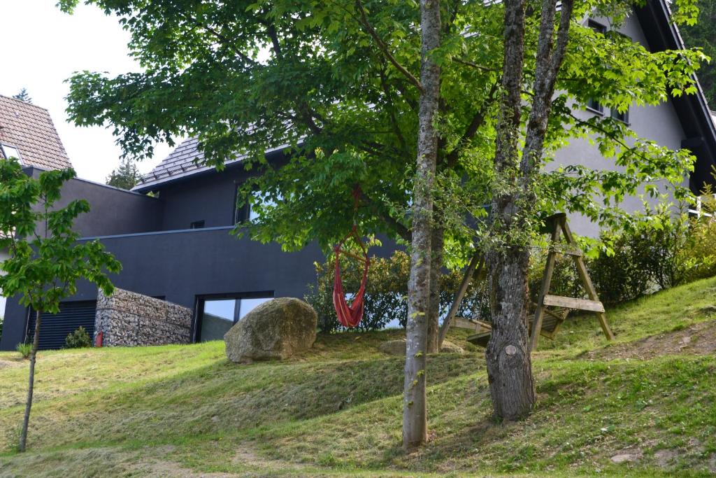 Zahrada ubytování Bergweide 36