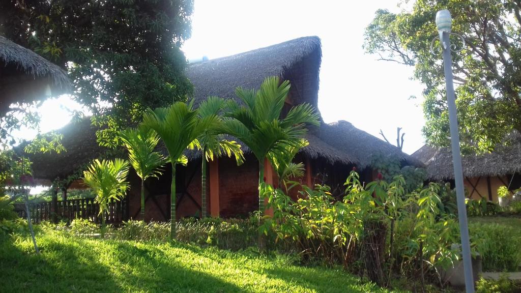 a house with a thatched roof and some palm trees at LOCAVACATION Les Hauts Manguiers Villa 15 in Ambondrona
