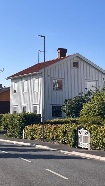 a white building with a cat in a window at Ellös Holiday apartment in Ellös