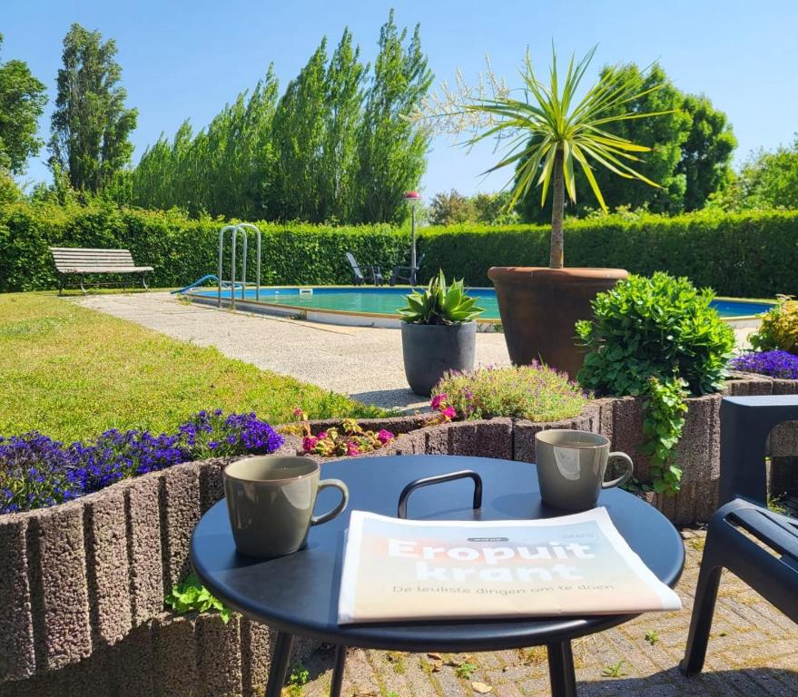 une table avec deux tasses dans un jardin dans l'établissement Vakantiehuis 't Hertenkamp, à Ouddorp