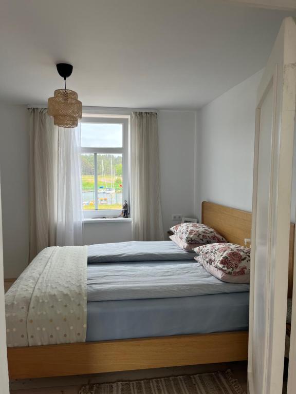 帕維洛斯塔的住宿－Pie Jūras Pāvilostā，一间卧室配有一张带窗户的床