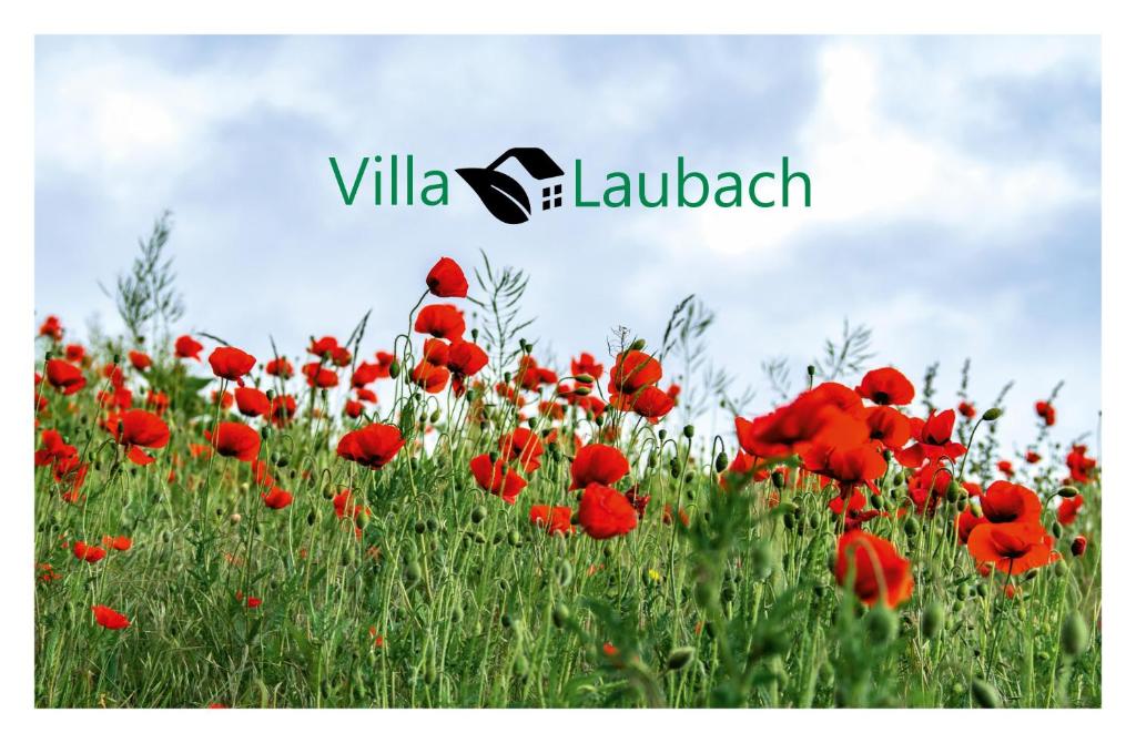 ein Feld roter Mohn mit den Worten villia lukadal in der Unterkunft Villa Laubach in Laubach