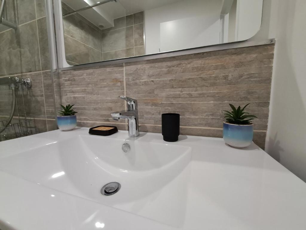 a white bathroom sink with two potted plants on it at Saint-Raphaël-Front de Mer-WIFI-CLIM in Saint-Raphaël