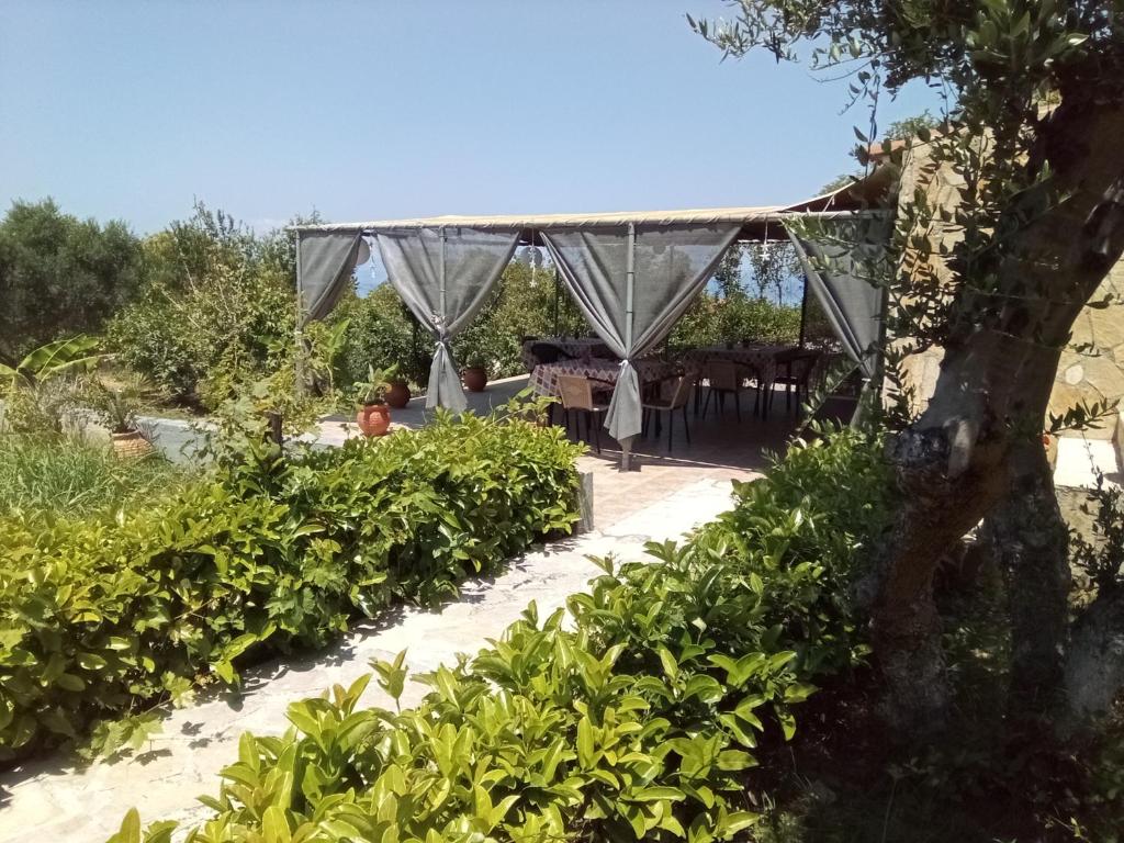 Zahrada ubytování Panorama Rooms