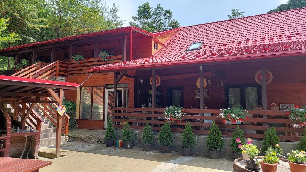 a wooden house with potted plants in front of it at Cabana Alpha in Baia Mare