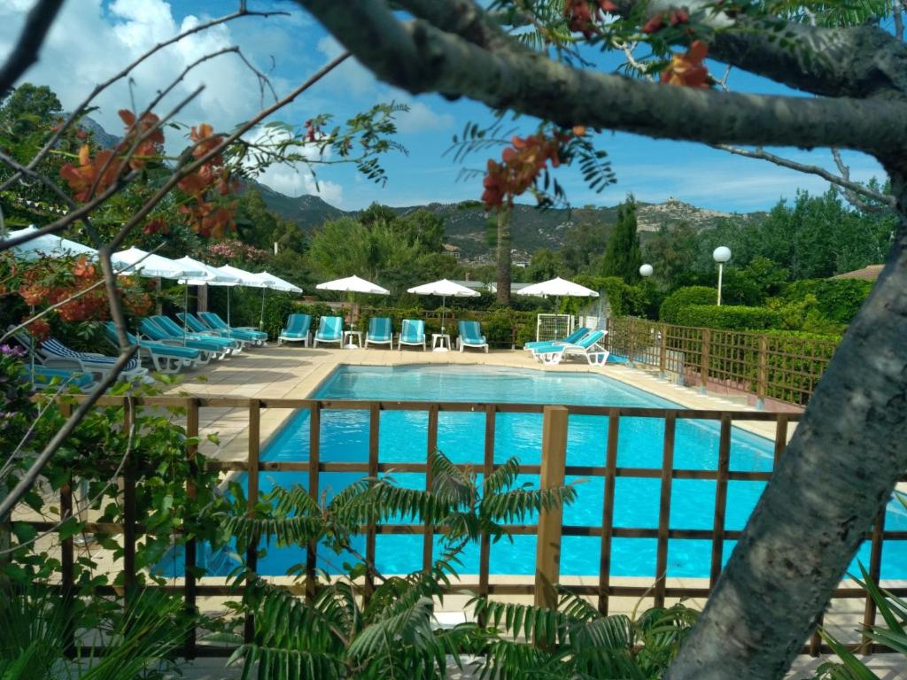 - une piscine dans un complexe avec des chaises et des parasols dans l'établissement Le Râteau Bavoir, à Calvi