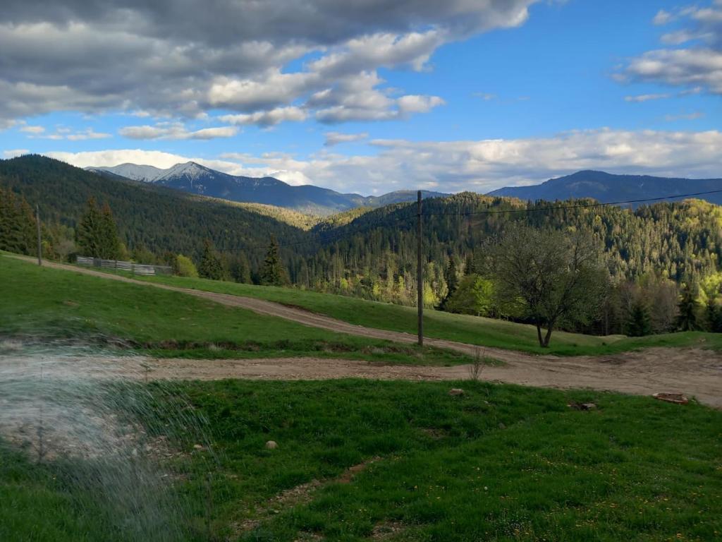 eine unbefestigte Straße auf einem Feld mit Bergen im Hintergrund in der Unterkunft Domeniul Barabuc Colibita in Colibiţa