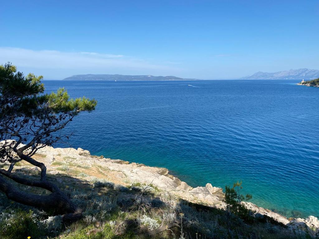 a view of a large body of water at I and A Cozy MAKARSKA in Makarska
