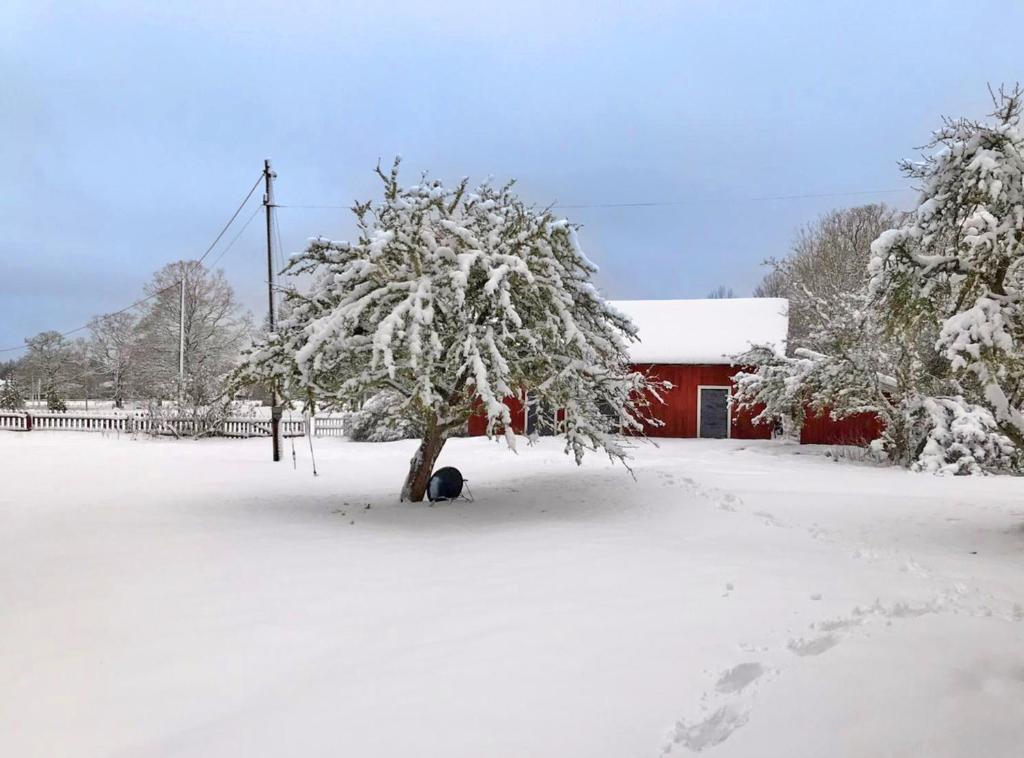 Fotografie z fotogalerie ubytování Idyllisches Schwedenhaus v destinaci Grönskåra
