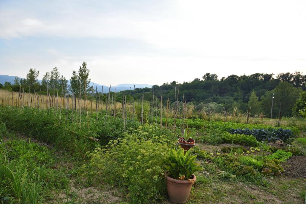 Zahrada ubytování Il Fienile di Margherita