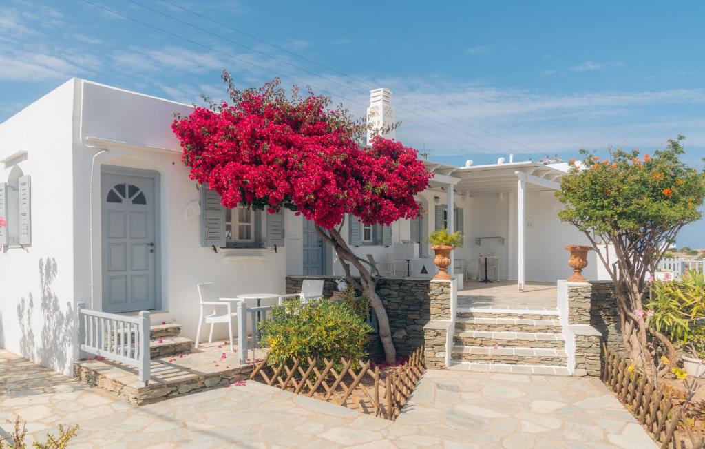 una casa blanca con un árbol rojo delante de ella en Nostos Sifnos, en Apollonia