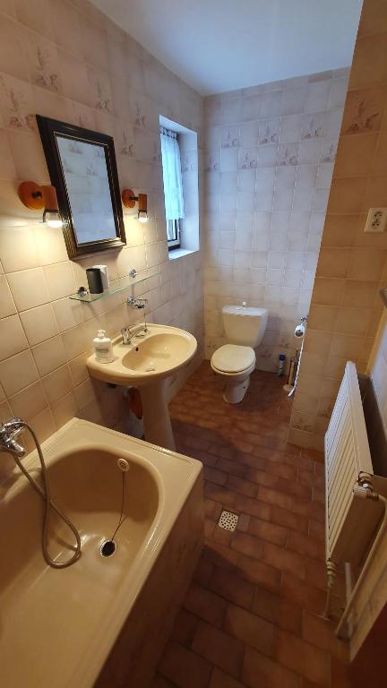 Koupelna v ubytování Prázdninový dům Hradiště