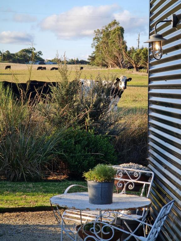 Zahrada ubytování Inverloch Glamping