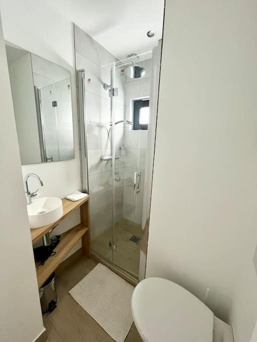 a bathroom with a shower and a toilet and a sink at Au coin du feu - Résidence Hestia in Saint-Étienne