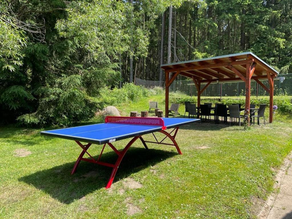 Stolní tenis v ubytování Chalupa pod lipenskou hrází nebo okolí