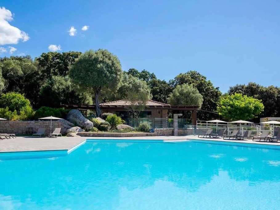 une grande piscine bleue avec chaises et parasols dans l'établissement Appart Stella résidence standing, vue panoramique, à Porto-Vecchio