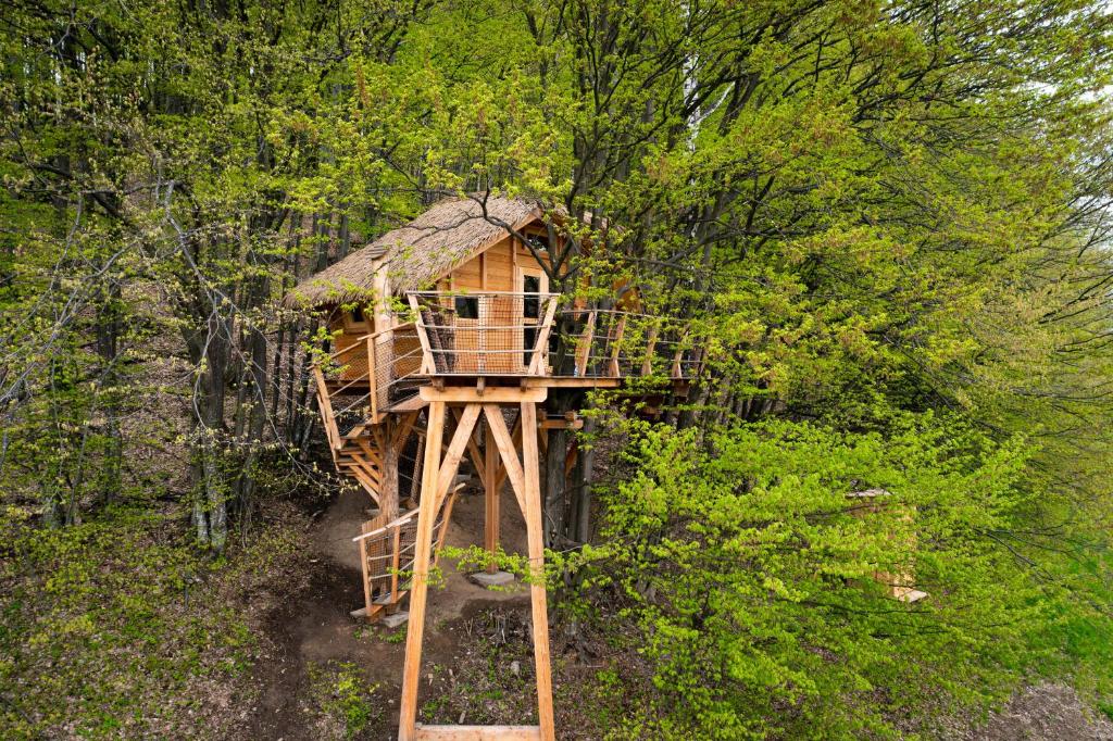 a tree house in the middle of a forest at TREEHOUSE POD LESOM in Muráň
