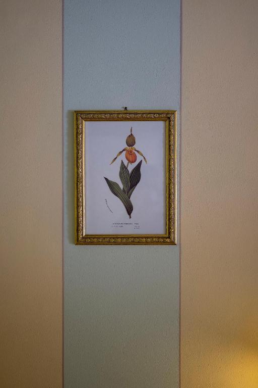 Fotografie z fotogalerie ubytování Hotel Airone v destinaci Piadena