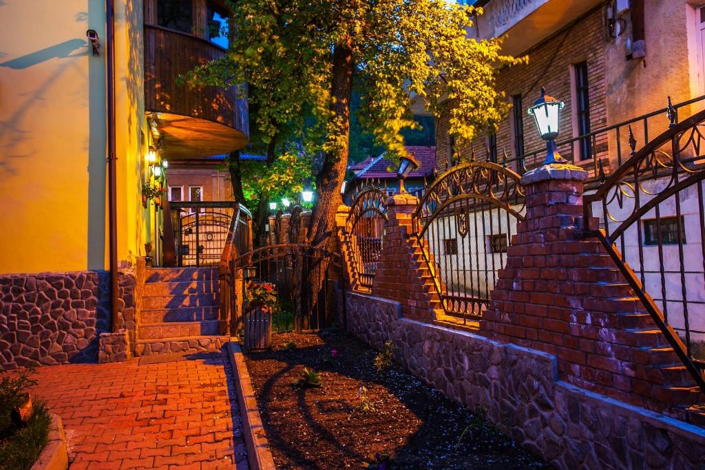 Pension Brasovu Vechi - Resim 13