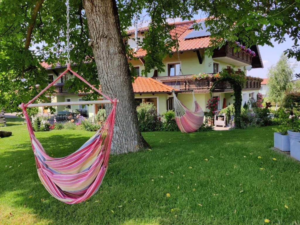 Zahrada ubytování Pension Holzapfel