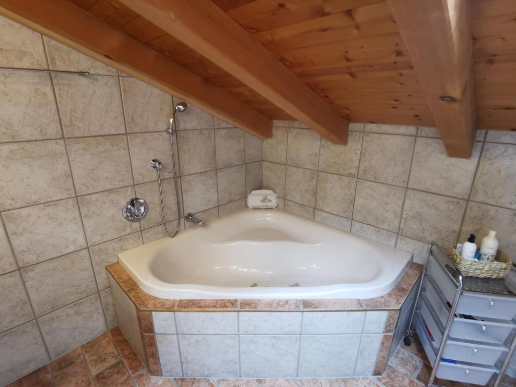 Koupelna v ubytování Schlosserhof