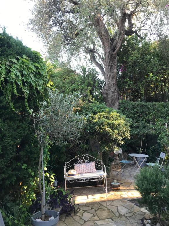 Сад в "L'olivadou" ST JEAN CAP FERRAT