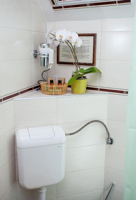 Pension Brasovu Vechi - Resim 37