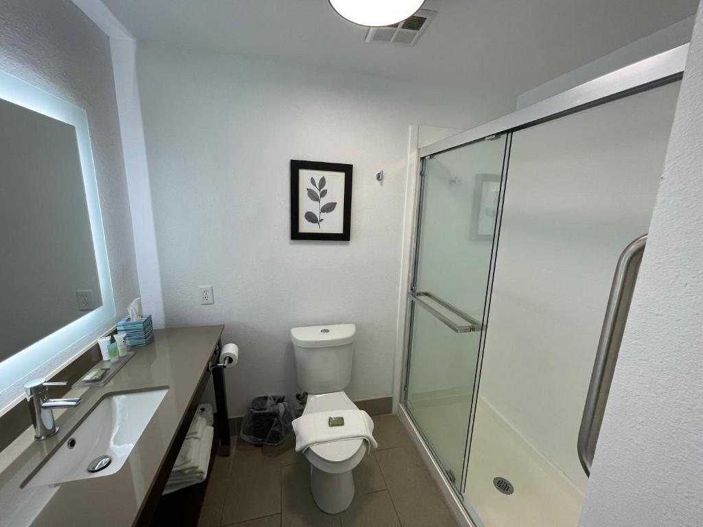 Country Inn & Suites by Radisson, Midway - Tallahassee West - Cuarto King