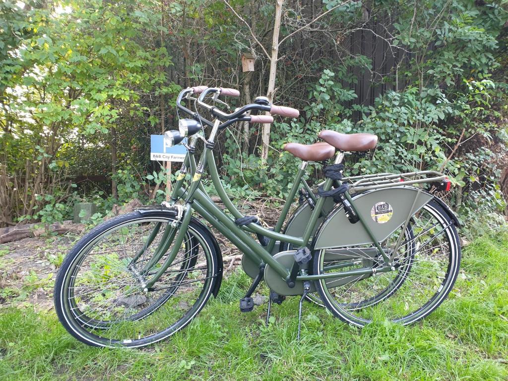 a green bike is parked in the grass at City Farmers Lodge, a Guesthouse with a skyline view in Rural Amsterdam in Amsterdam