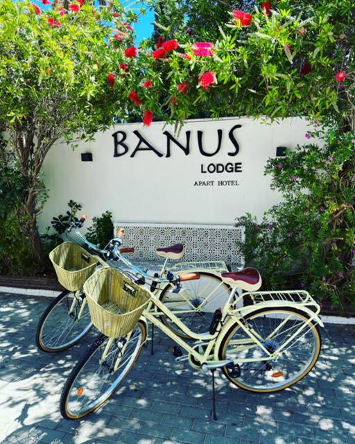 Jízda na kole v ubytování Banus Lodge nebo okolí