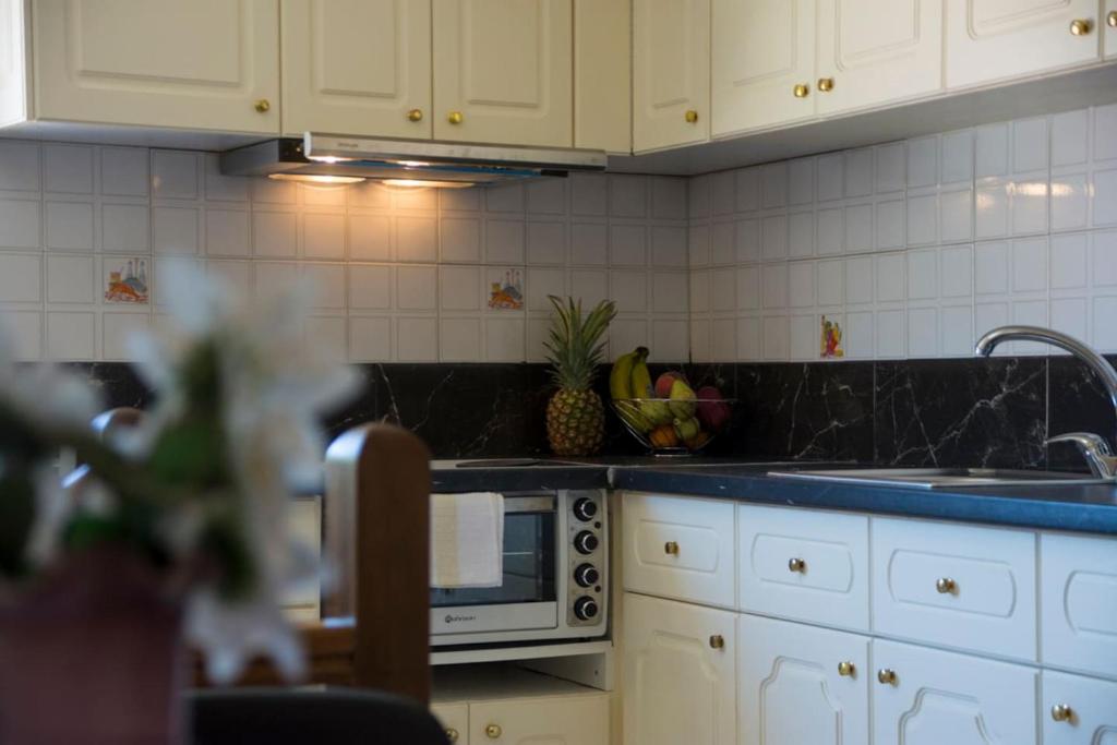 Kuchyň nebo kuchyňský kout v ubytování Paxos In Square (Apartment Amfitriti)