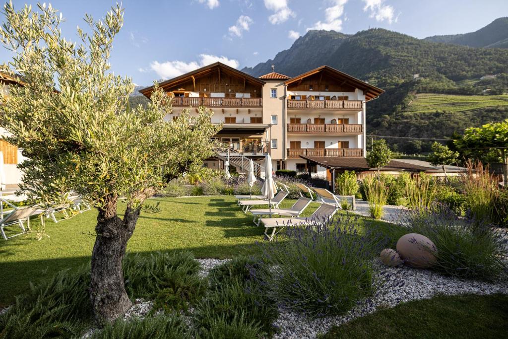 Nespecifikovaný výhled na hory nebo výhled na hory při pohledu z hotelu