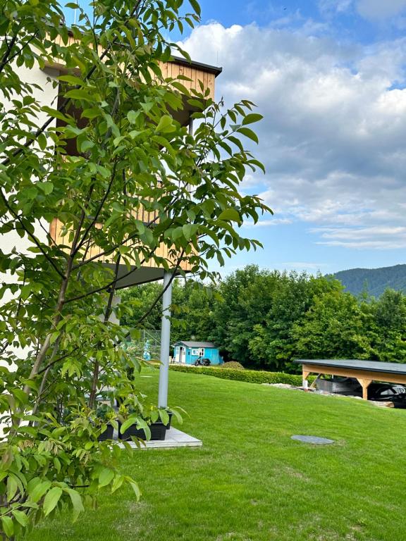 Příroda nedaleko apartmánu